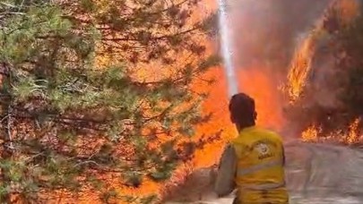 Yaz gelmeden orman yangınları başladı!