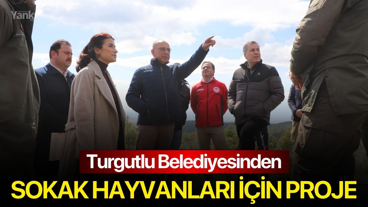 Turgutlu Belediyesinden Sokak Hayvanları İçin Proje
