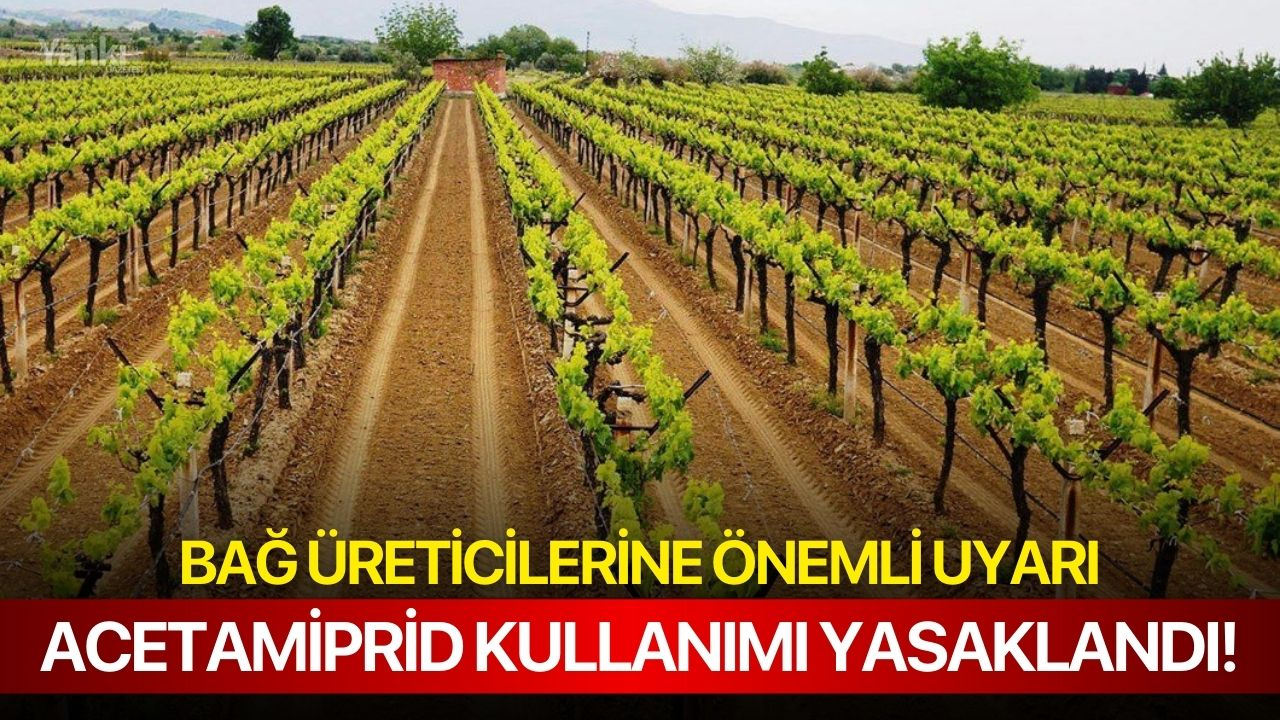 Bağ Üreticilerine Önemli Uyarı: Acetamiprid Kullanımı Yasaklandı!
