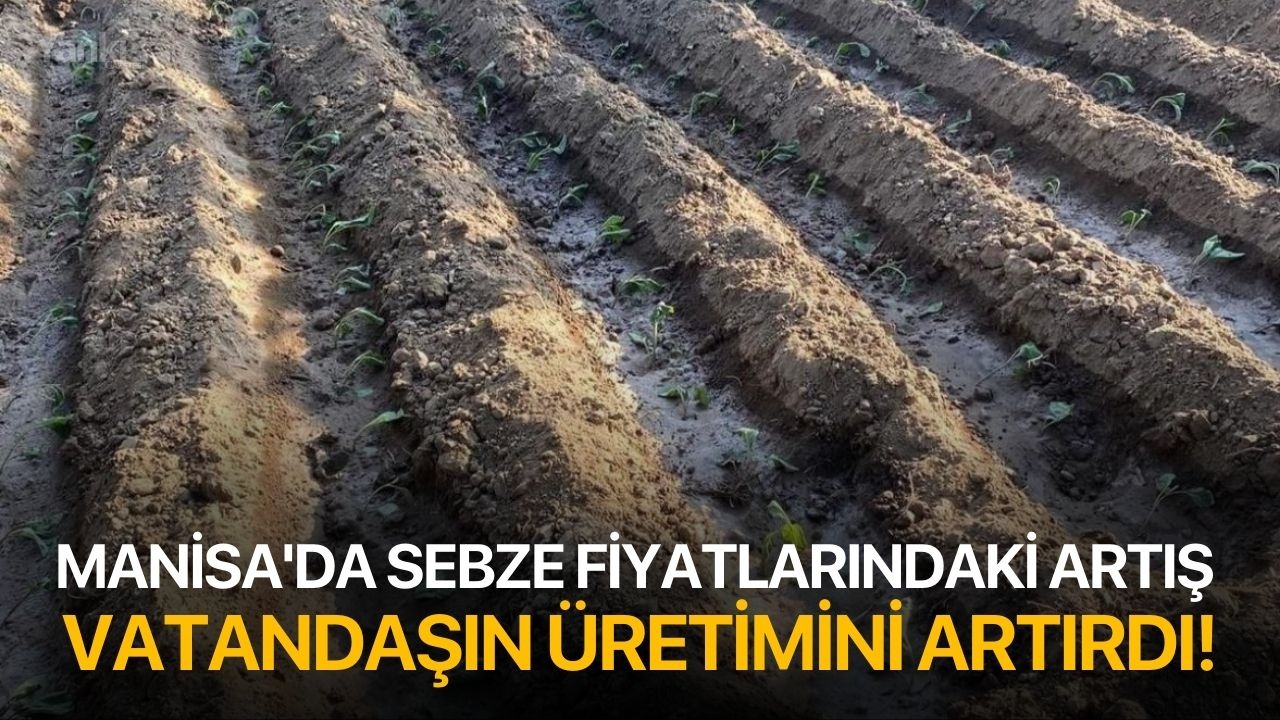 Manisa'da sebze fiyatlarındaki artış vatandaşın üretimini artırdı!
