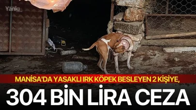 Manisa'da yasaklı ırk köpek besleyen 2 kişiye, 304 bin lira ceza