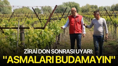 Zirai don sonrası uyarı: "Asmaları budamayın"