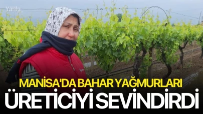 Manisa'da bahar yağmurları üreticiyi sevindirdi