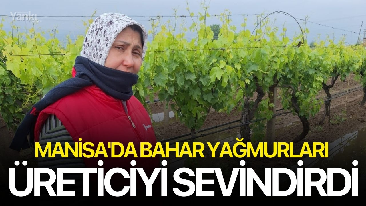 Manisa'da bahar yağmurları üreticiyi sevindirdi