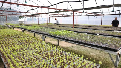 Çeşme Belediyesi’nden üreticiye 65 bin fide desteği