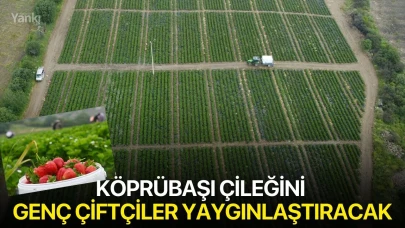 Köprübaşı çileğini genç çiftçiler yaygınlaştıracak