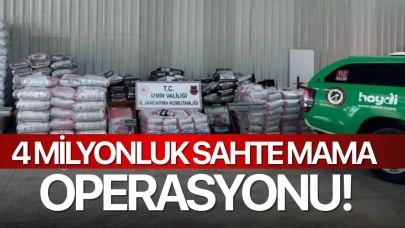4 milyonluk sahte mama operasyonu!