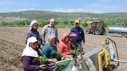 Selendi CHP tarlada çalışan anneleri yalnız bırakmadı
