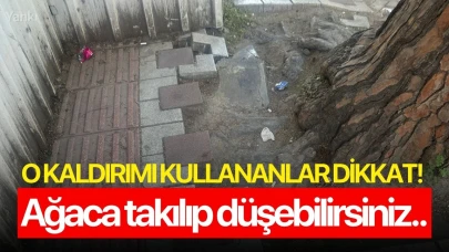 O kaldırımı kullananlar dikkat! Ağaca takılıp düşebilirsiniz..
