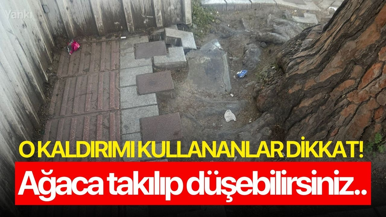 O kaldırımı kullananlar dikkat! Ağaca takılıp düşebilirsiniz..