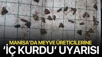 Manisa’da meyve üreticilerine ‘iç kurdu’ uyarısı