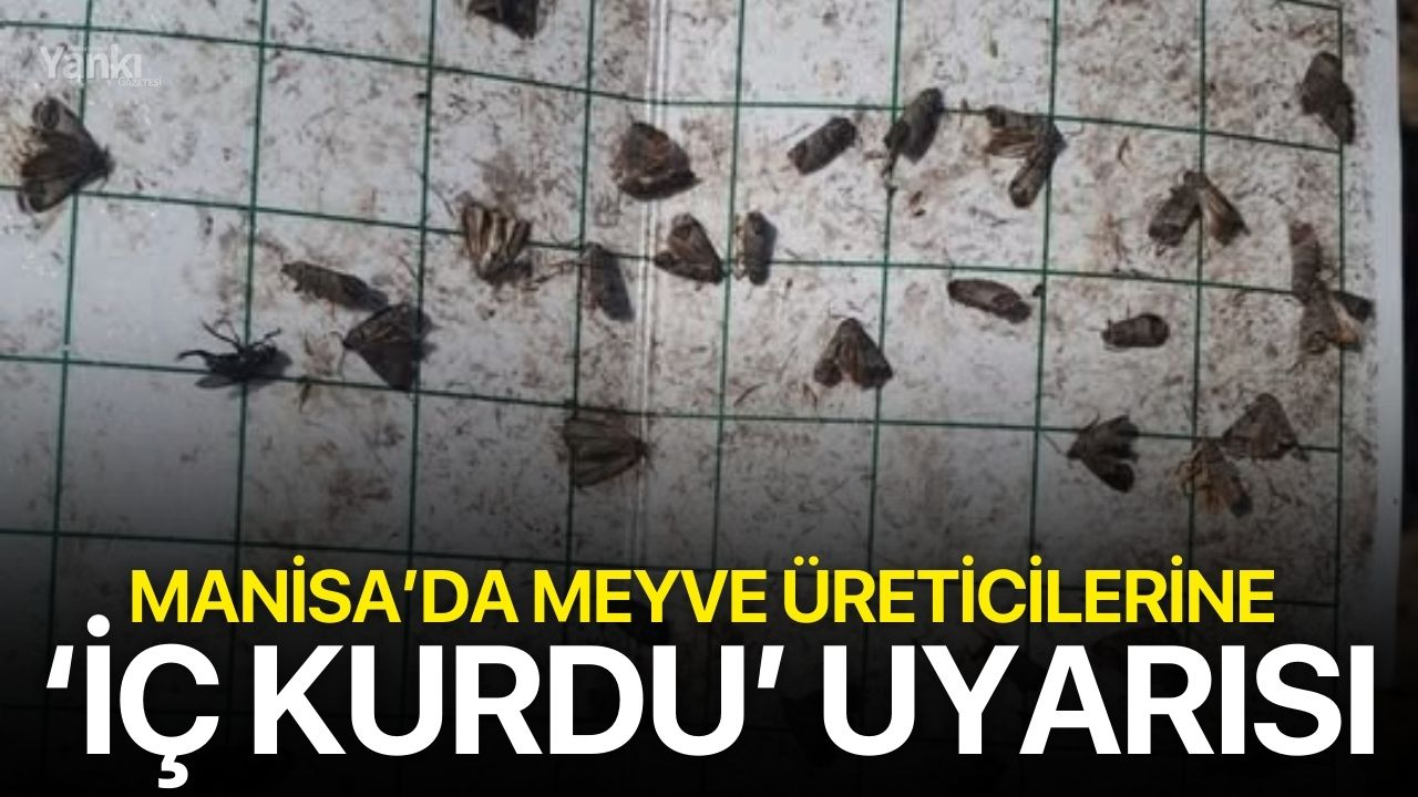 Manisa’da meyve üreticilerine ‘iç kurdu’ uyarısı