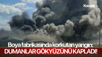 Boya fabrikasında korkutan yangın: Dumanlar gökyüzünü kapladı!