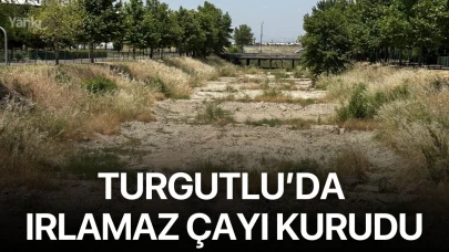 Turgutlu’da Irlamaz çayı kurudu