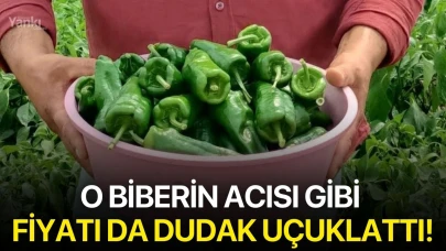 O biberin acısı gibi fiyatı da dudak uçuklattı!