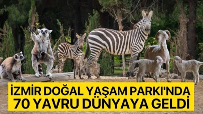 İzmir Doğal Yaşam Parkı'nda 70 yavru dünyaya geldi