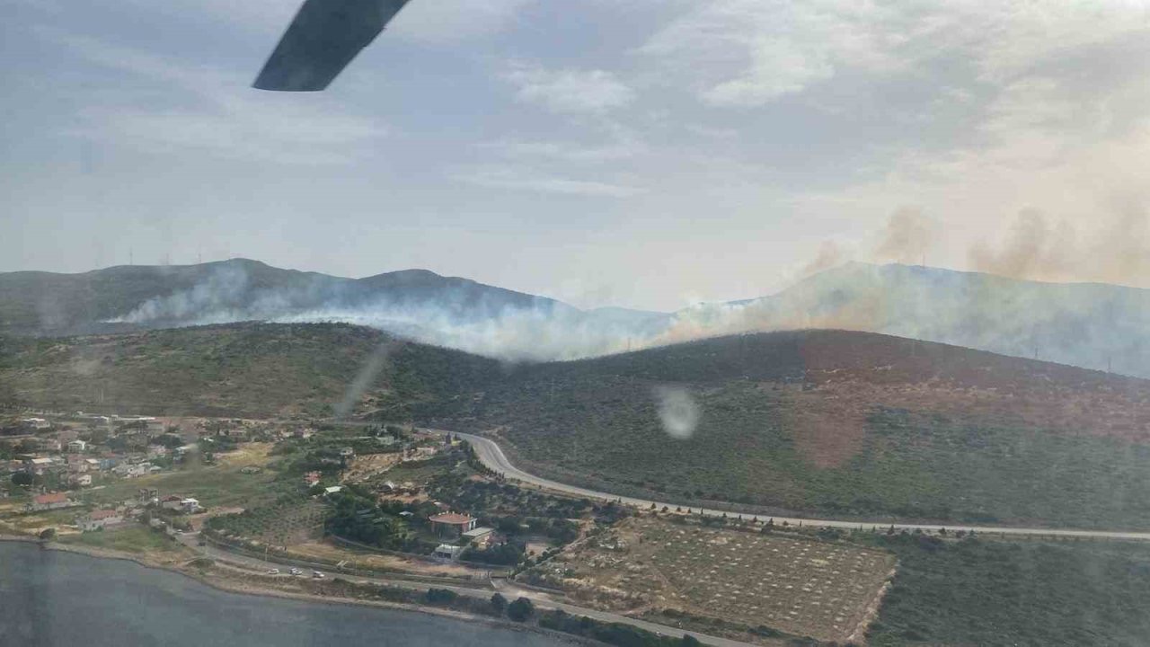 İzmir’de makilik alanda yangın