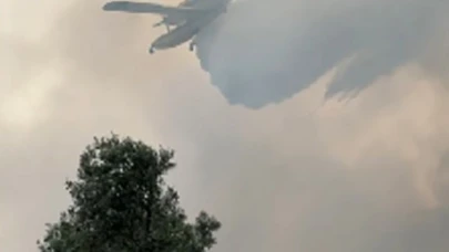 İzmir’de zeytinlik alandaki yangın kontrol altında