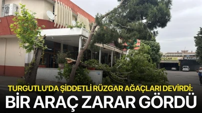 Turgutlu'da Şiddetli Rüzgar Ağaçları Devirdi: Bir Araç Zarar Gördü