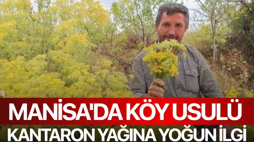 Manisa'da köy usulü kantaron yağına yoğun ilgi