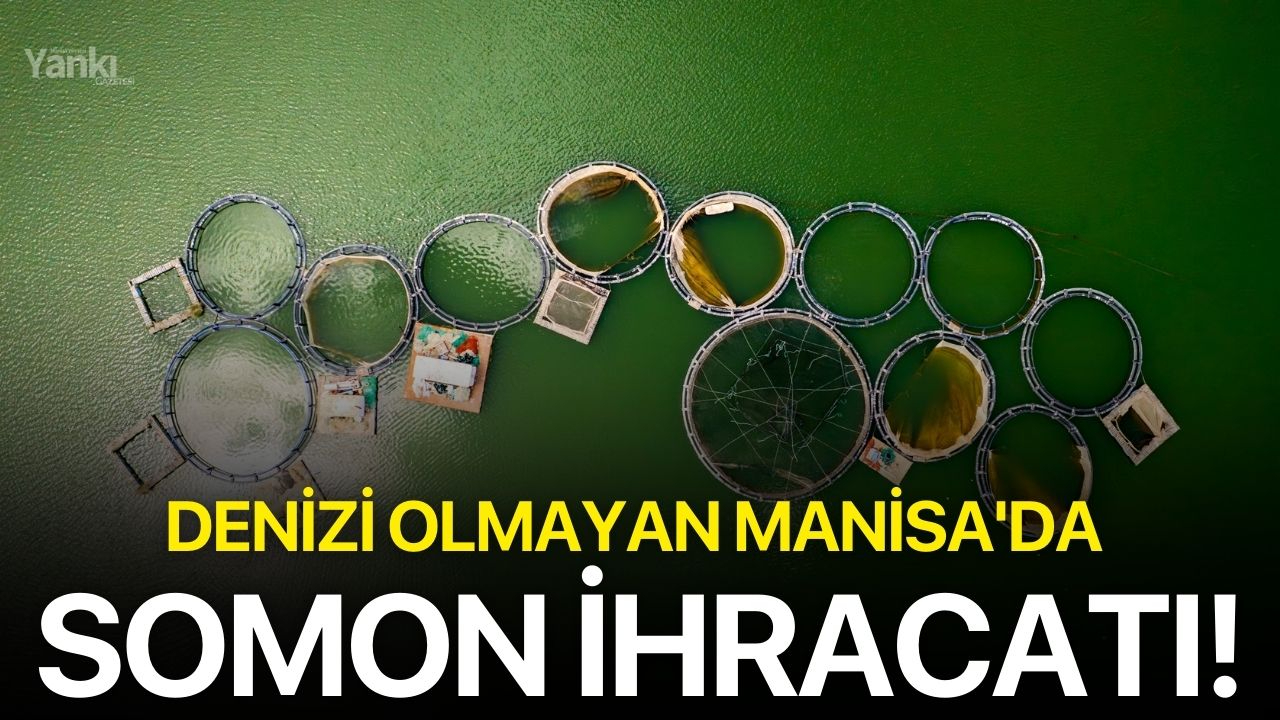Denizi olmayan Manisa'da Somon ihracatı!