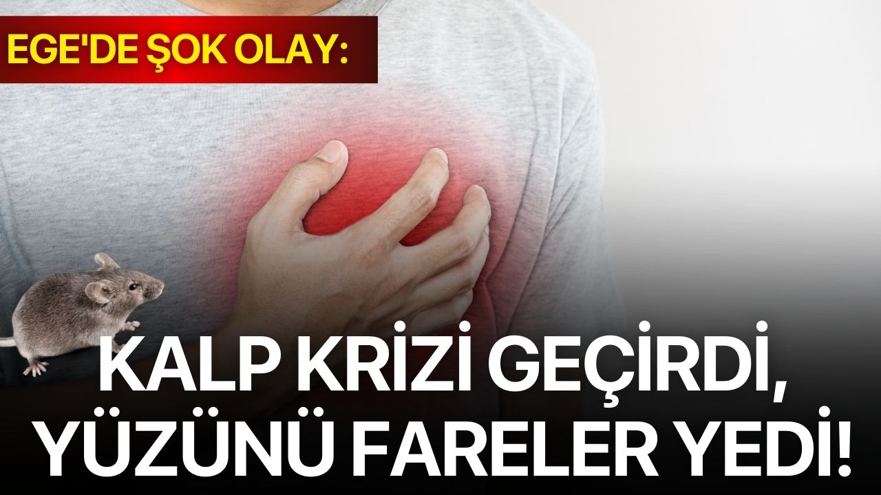 Ege'de şok olay: Kalp krizi geçirdi, yüzünü fareler yedi!