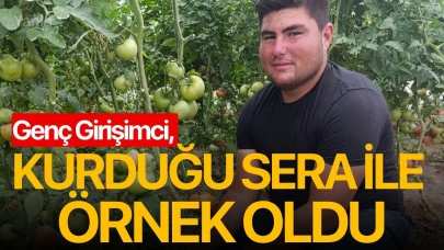 Genç Girişimci, Kurduğu Sera ile Örnek Oldu