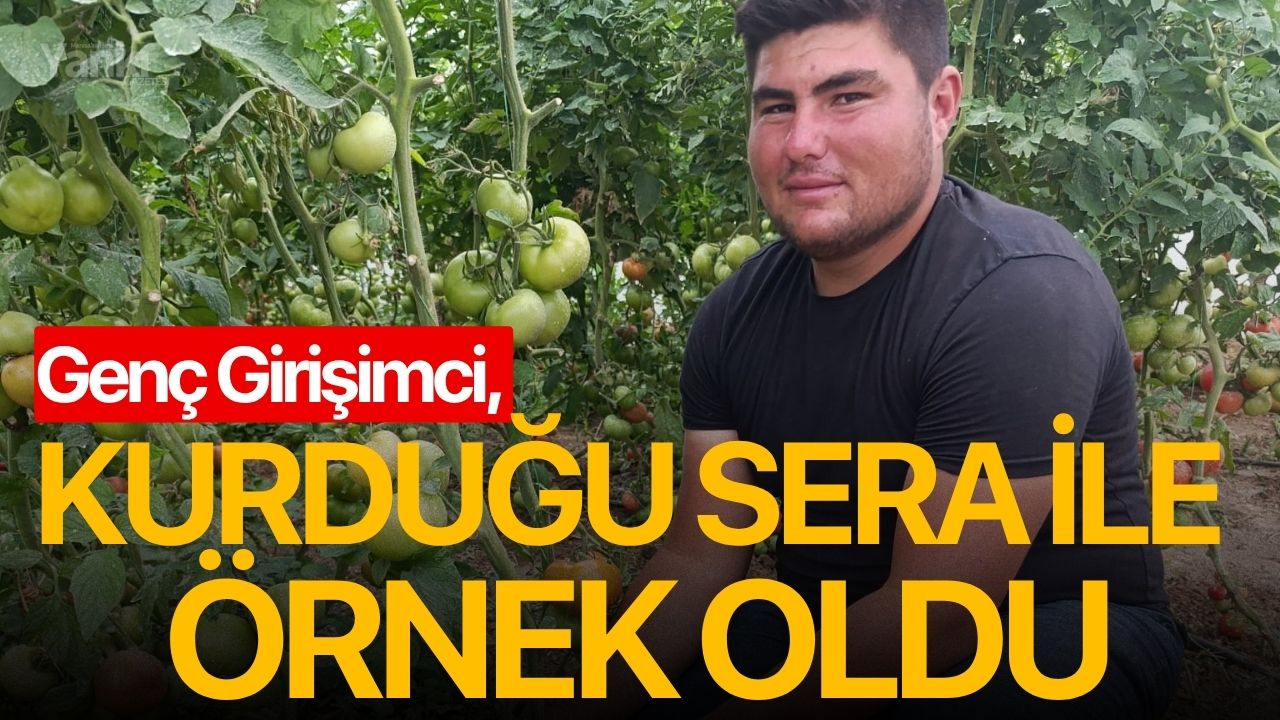 Genç Girişimci, Kurduğu Sera ile Örnek Oldu