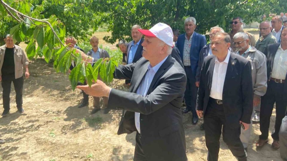 TZOB Başkanı Bayraktar: "65 vilayetimizde büyük bir zirai don felaketi ile karşı karşıya kaldık"