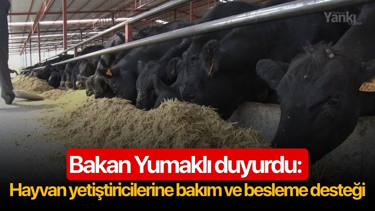 Bakan Yumaklı duyurdu: Hayvan yetiştiricilerine bakım ve besleme desteği