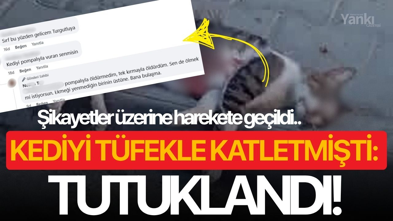 Kediyi tüfekle katletmişti: Tutuklandı!