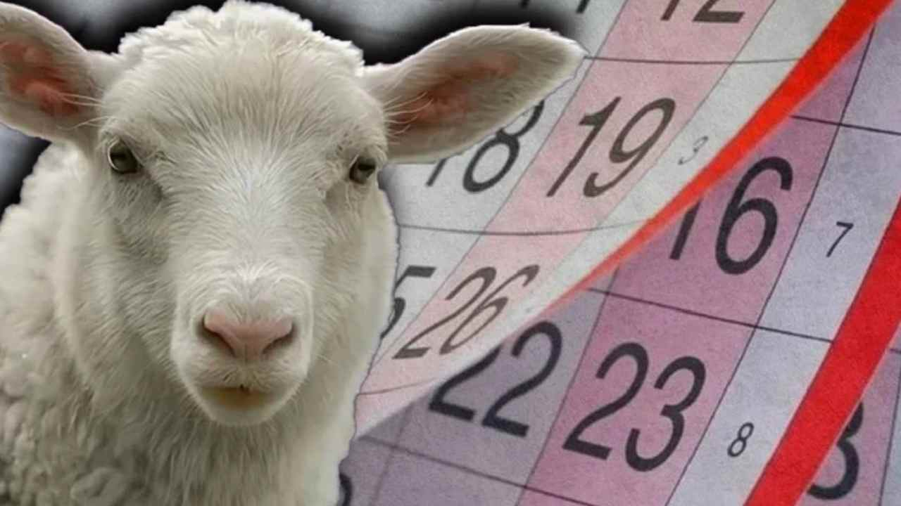 Bayram tatili birleştirildi mi, 9 gün olacak mı? İşte son açıklamalar