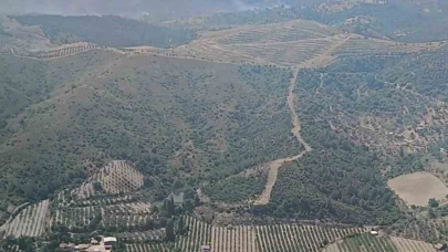 İzmir’de ormanlık arazide çıkan yangın kontrol altında