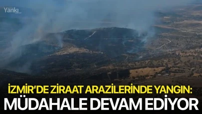 İzmir’de ziraat arazilerinde yangın: Müdahale devam ediyor
