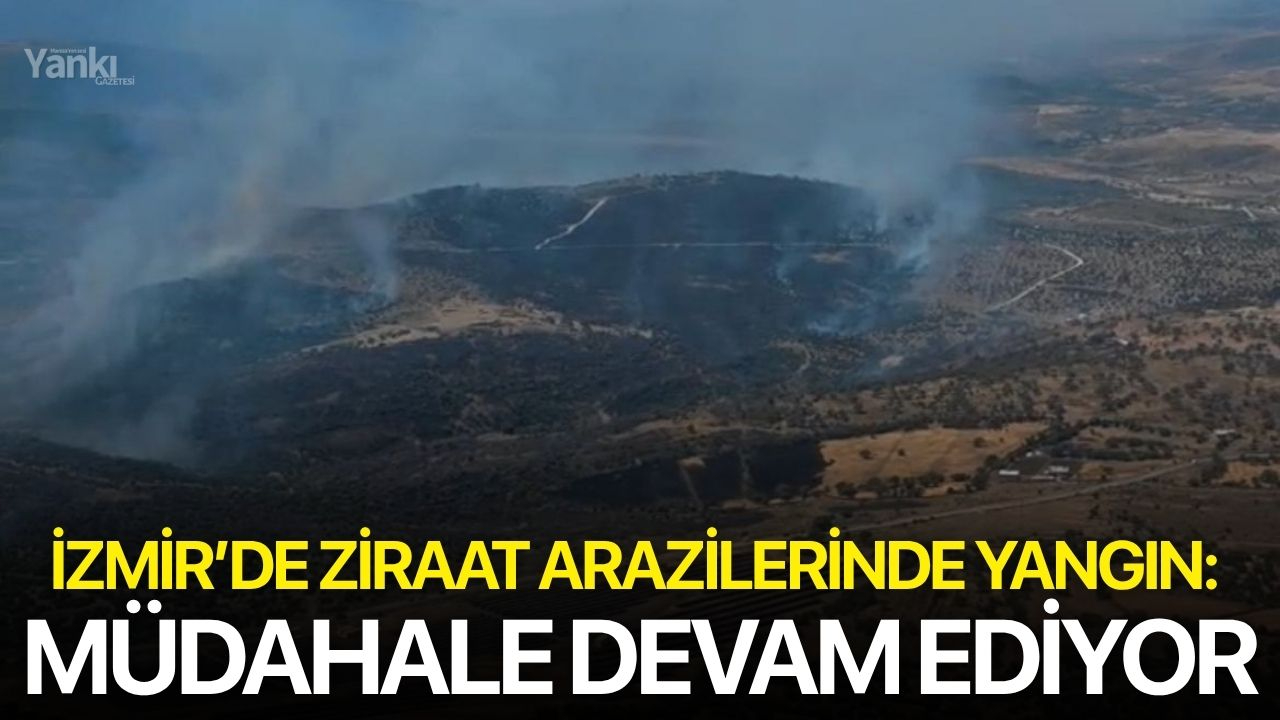 İzmir’de ziraat arazilerinde yangın: Müdahale devam ediyor