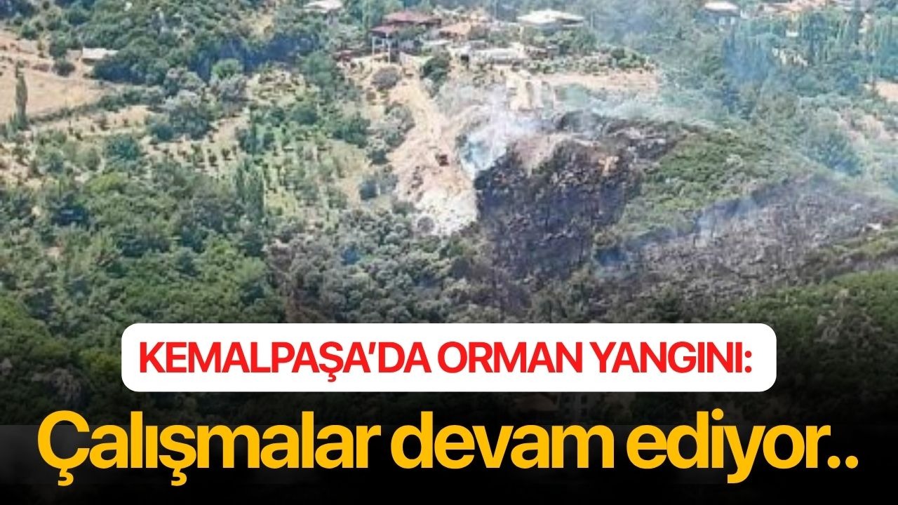 Kemalpaşa’da orman yangını: Çalışmalar devam ediyor..