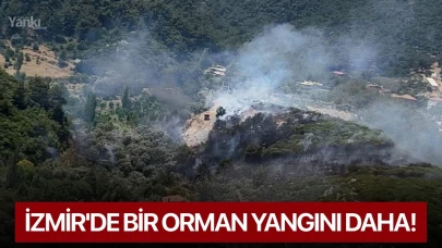 İzmir'de bir orman yangını daha!
