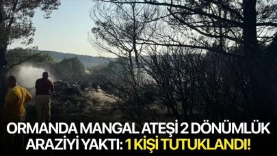 Ormanda mangal ateşi 2 dönümlük araziyi yaktı: 1 kişi tutuklandı!