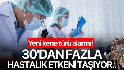Yeni kene türü alarmı! 30'dan fazla hastalık etkeni taşıyor..