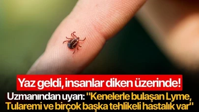 Uzmanından uyarı: "Kenelerle bulaşan Lyme, Tularemi ve birçok başka tehlikeli hastalık var"