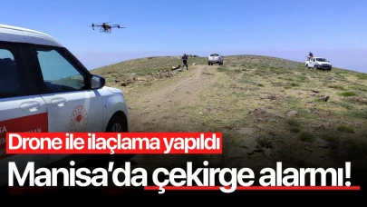 Manisa'da tarım arazilerinde çekirge alarmı! Drone ile ilaçlama yapıldı