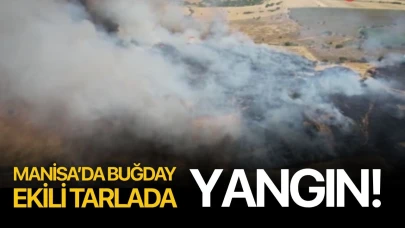 Manisa'da buğday ekili tarlada yangın