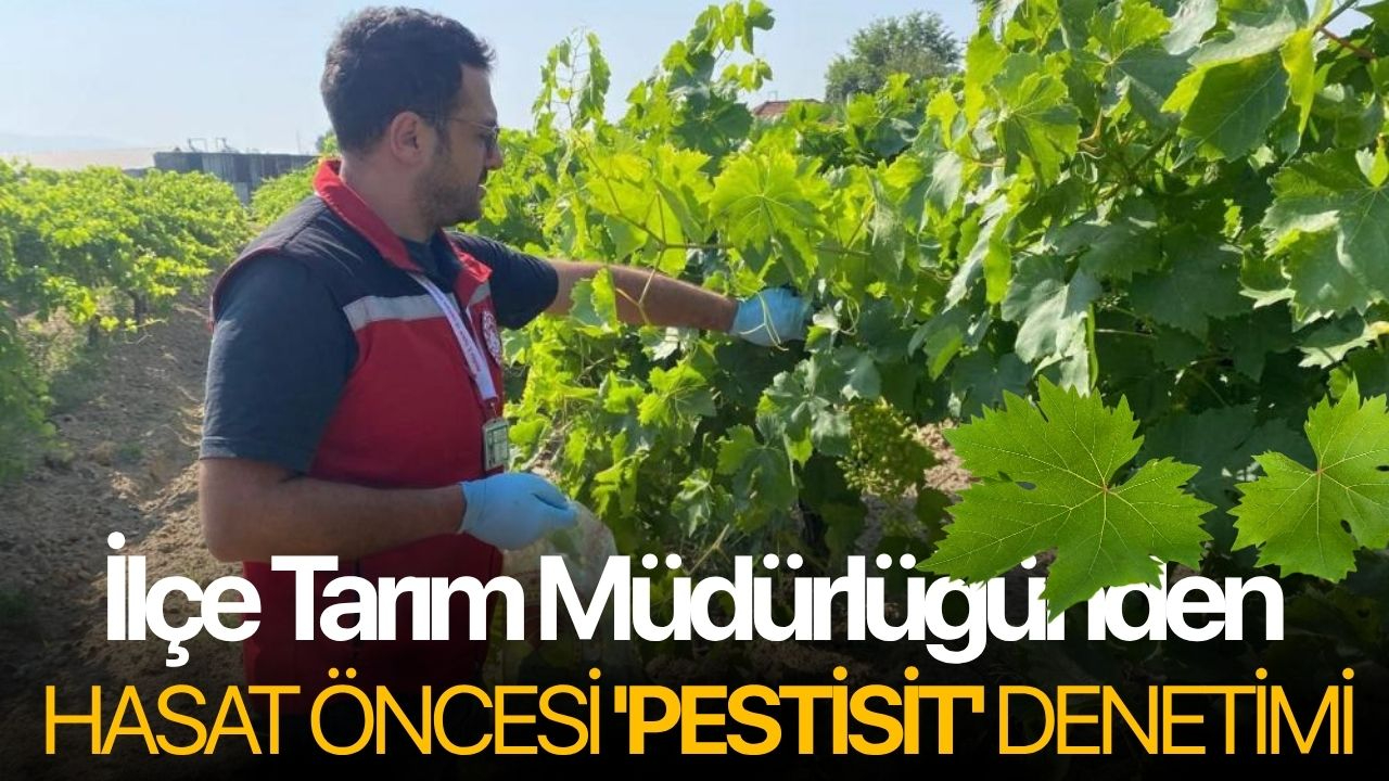 İlçe Tarım Müdürlüğünden hasat öncesi 'pestisit' denetimi