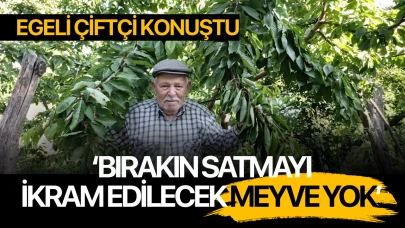 Egeli Çiftçiler Üzgün: 'Bırakın satmayı ikram edilecek meyve yok'