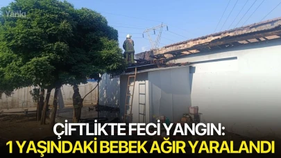 Çiftlikte feci yangın: 1 yaşındaki bebek ağır yaralandı