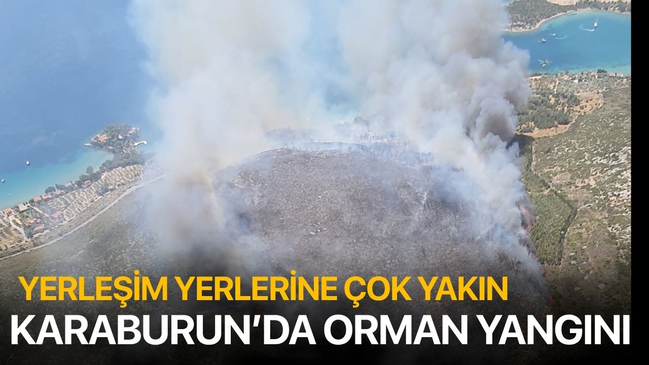 Karaburun'da orman yangını