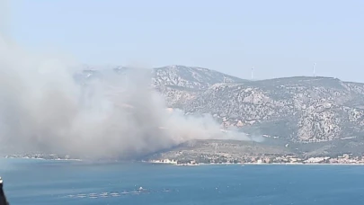 İzmir’de çıkan orman yangınına havadan ve karadan müdahale başladı