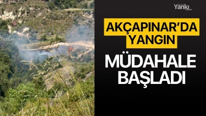 Akçapınar'da yangın çıktı! Müdahale başladı