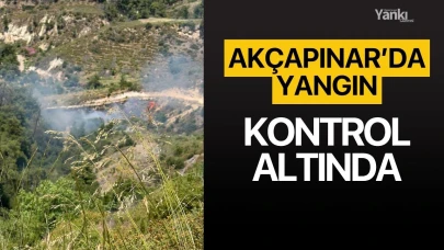 Akçapınar'daki orman yangını kontrol altında