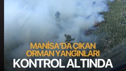 Manisa'da çıkan orman yangınları kontrol altında